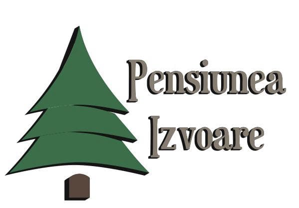 PROIECT DINAMIC LOGISTIC SRL